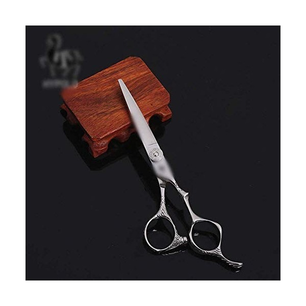 GaoF Ciseaux de Coiffure Professionnels pour Coiffeur de 6 Pouces, cisailles Plates, Outils de Coiffure Professionnels Haut d