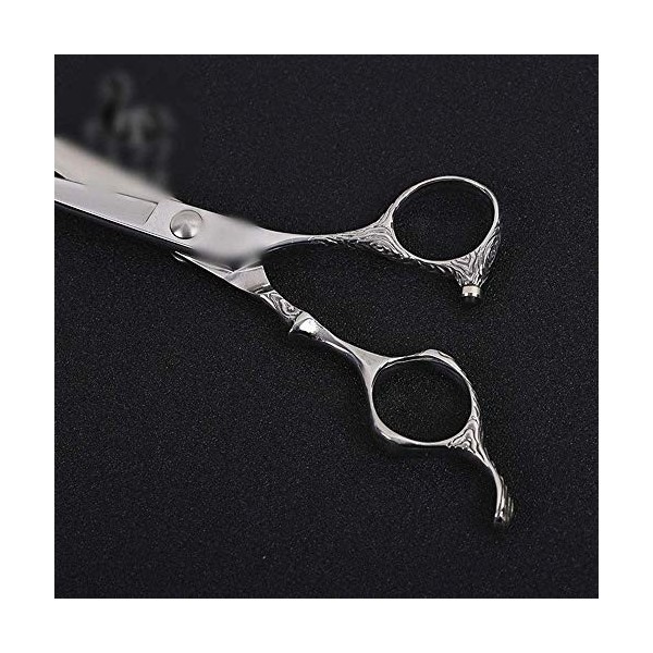 GaoF Ciseaux de Coiffure Professionnels pour Coiffeur de 6 Pouces, cisailles Plates, Outils de Coiffure Professionnels Haut d