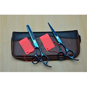 Ciseaux à cheveux professionnels, ciseaux de coupe de coiffure + ciseaux amincissants, outils de coiffure couleur: 2 pièces ...
