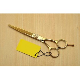 Ciseaux de coupe de cheveux, cisailles à cheveux professionnelles de marque Ciseaux de coiffure humaine professionnels Ciseau