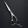 YAOSHIBIAN-shears Outils de Coupe de Cheveux Ensemble de Ciseaux de Coupe de Cheveux et de Ciseaux à effiler, Kit Professionn