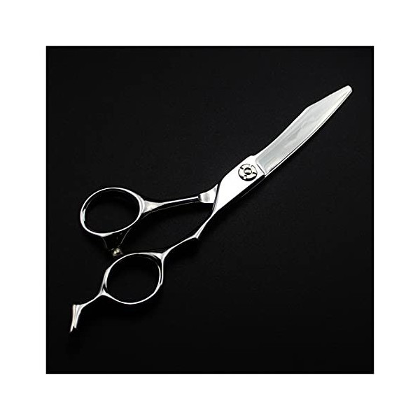 Ciseaux de coiffure argentés de 6 pouces, ciseaux de coupe de cheveux et damincissement, ciseaux de coiffeur, ciseaux de cou