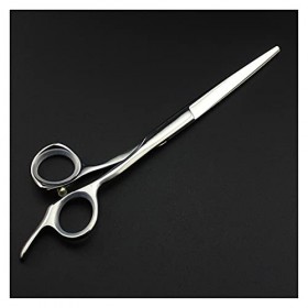Générique Ciseaux de Coiffeur 5/5.5/6/6.5 Pouces, tondeuses à Cheveux, Ciseaux de Coiffeur, Ciseaux de Coiffeur Gris 