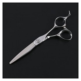 Cisailles plates, cheveux professionnels à bord de rasoir, cisailles texturisantes taille : cisailles à dents cisailles pl