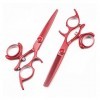 TOMYEUS Cheveux Ciseaux Coie de Coiffure Ensemble de coiffé coiffé Coiffeur Scissor 440C Salon de Coiffure Cisaille de Cisail