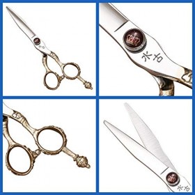 Ciseaux Coiffure 6,0 Pouces Dor Ciseaux De Coiffeur En Acier Inoxydable Et Ciseaux De Coiffure Set Ciseaux De Coiffeur Profe