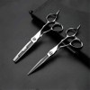 Professionnel Haut de Gamme 6,0 Pouces Salon de Coiffure 440C Inoxydable de Sharp Ciseaux de Coiffure Coupe de Cheveux Set Ci