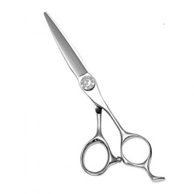 Coupe Professionnelle Cheveux Ciseaux Set, Haut de Gamme 6.0 Pouces 440C Inoxydable Vis Style Chinois Barber Ciseaux Barber S