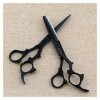 Cisailles pour la coupe de cheveux 6 pouces Ciseaux Dragon Noir, Coiffure Ciseaux Rasoir, Ciseaux de coiffure, Ciseaux de coi