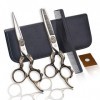 Ciseaux De Coupe De Cheveux Set Professionnel Dents Plates Ciseaux Amincissants Ciseaux 440C Japan Steel Barber 6.0 Pouces Ha