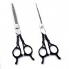 Set De Ciseaux De Coiffure Professionnels Ciseaux De Coupe De 6 Pouces + Ciseaux Amincissants Ciseaux De Barbier Coupe De Che