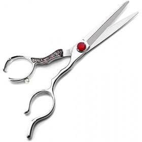 Ciseaux de coiffure professionnels Ciseaux à cheveux professionnels-Ciseaux à cheveux Ciseaux à cheveux à bord de rasoir de 6