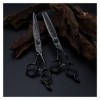 xuangui Ylingling Store Professionnel 6 Pouces Upscale Black Damas Ciseaux De Cheveux Coupant Les Outils De Coiffure Haircut 