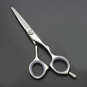 Strumenti per taglio dei capelli, Nouveau style 5,5 pouces haut de gamme ciseaux de coiffure plat + dent ciseaux ensemble spé