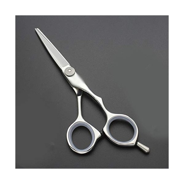 Strumenti per taglio dei capelli, Nouveau style 5,5 pouces haut de gamme ciseaux de coiffure plat + dent ciseaux ensemble spé