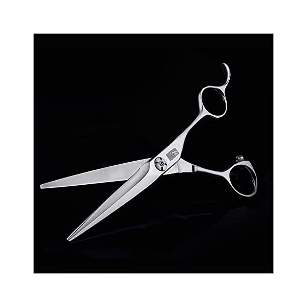 Tondeuses à cheveux pour hommes, ciseaux de coiffure, ciseaux de coiffeur, ciseaux plats classiques, ciseaux de coupe de chev