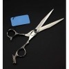 Ciseaux de coiffeur New Professional 440C Ciseaux de coiffure de 7 pouces Ciseaux de coiffeur Ciseaux de coiffure avec étui e