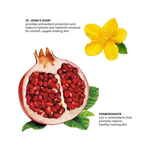 bareMinerals Smoothness Bare Haven Hydratant Doux Pour Unisexe 1,7 oz Hydratant Crème Jour et Nuit