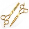 Ciseaux de coupe de cheveux, ciseaux de coiffure professionnels 9CR13 dorés de 6 pouces, ensemble de ciseaux de barbier aminc