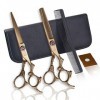 Kit de ciseaux de coupe de cheveux 6,0 pouces Or Dents coupées à plat Coiffure Bangs Professional Barberhaircutting scissors 