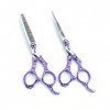 Violet ciseaux de coiffure professionnels 6.0 pouces Droitière européenne Retro Set 440C premium Barber Scissor Texture Dilut