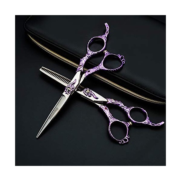 Fournitures Professionnelles Haut de Gamme européenne Retro 6.0 Pouces Violet Set Coiffeur Coiffure Ciseaux Barber rhéofluidi