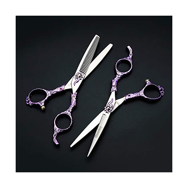 Fournitures Professionnelles Haut de Gamme européenne Retro 6.0 Pouces Violet Set Coiffeur Coiffure Ciseaux Barber rhéofluidi