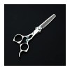 Outil de coupe de cheveux Ciseaux droits en acier inoxydable pour salon de coiffure couleur : lot sans sac ciseaux fins B 