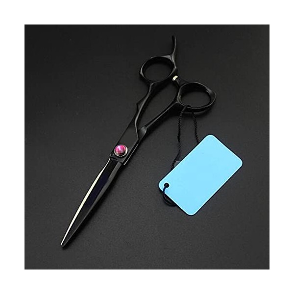 Kit de coupe de cheveux noirs/éclaircie avec étui pour équipement de salon de coiffure couleur : cisaille de coupe Cutting