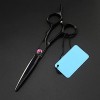 Kit de coupe de cheveux noirs/éclaircie avec étui pour équipement de salon de coiffure couleur : cisaille de coupe Cutting