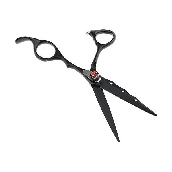 Set de coiffure Ciseaux à cheveux, 6,7 pouces, 17 cm, matériau, acier inoxydable taille : A 