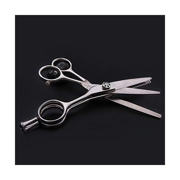 Outils de coupe des cheveux Ciseaux de coiffure minces de 6 pouces Ciseaux à deux lames avec boîte en bois pour femme Colo