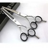 Outils de coupe des cheveux Ensemble de coiffure professionnel de coiffeur de 6 pouces pour femme Color : Silver 