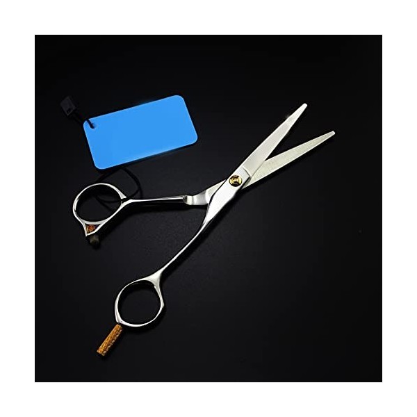 Ciseaux à cheveux professionnels Salon de coiffure Ciseaux de coupe Ciseaux à cheveux en forme dargent Couleur: Coupe ajout