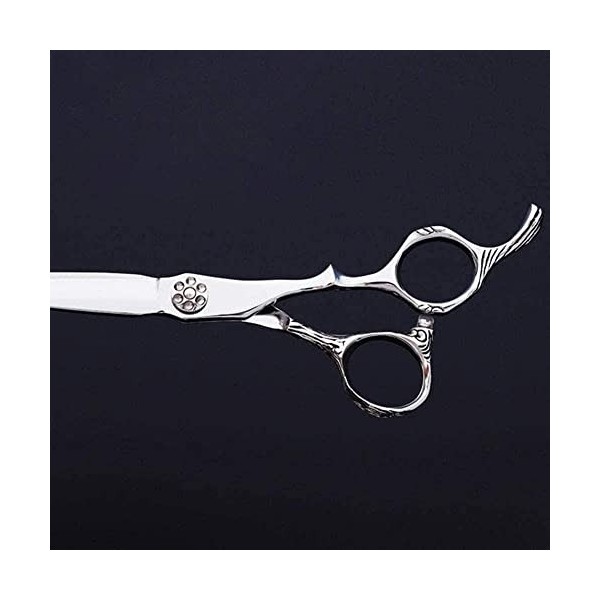 Ciseaux de coiffeur, ensemble de ciseaux de coiffure avec ciseaux amincissants de 15.2 Cm, couleur argent, pour barbier ou us