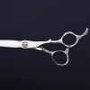 Ciseaux de coiffeur, ensemble de ciseaux de coiffure avec ciseaux amincissants de 15.2 Cm, couleur argent, pour barbier ou us