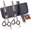 Générique Kit de Ciseaux de Coupe de Cheveux 6,0 Pouces Or Rose Ciseaux de Coiffeur, Ciseaux Plats, Ciseaux Amincissants, Cis