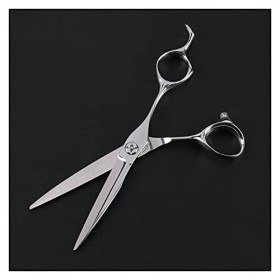 Ciseaux plats, cheveux de rasoir professionnels, cisailles texturisantes pour salon, ciseaux de coiffure pour salons de coiff...