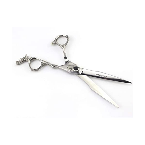 Ciseaux de coiffure professionnels, ciseaux de coupe de cheveux pour salon de coiffure - Longueur totale de 15,2 cm avec vis 