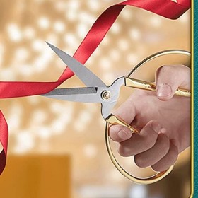 Ciseaux dartisanat plaqués or, motif dragon et phénix en relief, ciseaux à bonsaï, ciseaux traditionnels ménagers for la cou