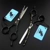 LIUSU Kit de Ciseaux pour Animaux de Compagnie, Ensemble de Ciseaux de Coiffure de 15,2 cm, kit de coiffeurs Professionnels, 