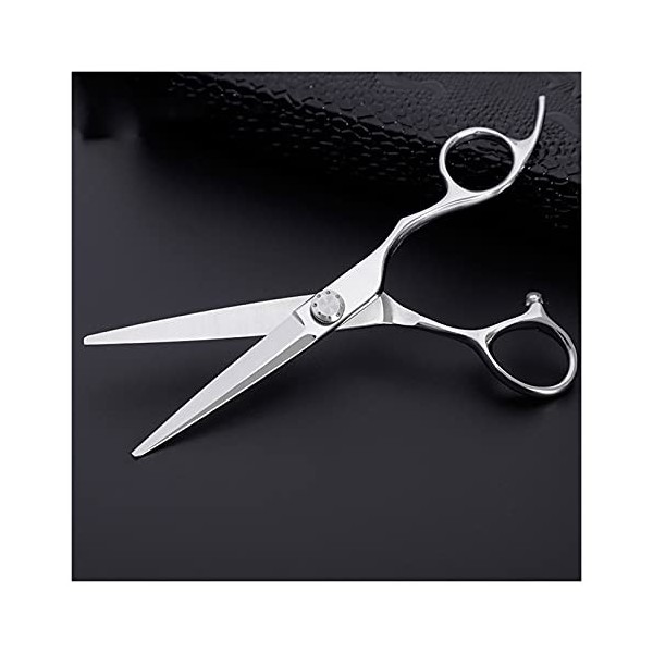 Ciseaux de coiffure professionnels de 6.0 pouces, ciseaux de coupe de cheveux de styliste, coupe plate, ciseaux de coupe de c