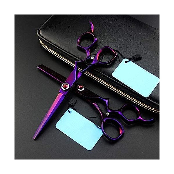 QZH Ciseaux de Coiffure Professionnels en Pierres précieuses Violettes de 6 Pouces, Ciseaux de Coiffure et Ciseaux de Coiffur