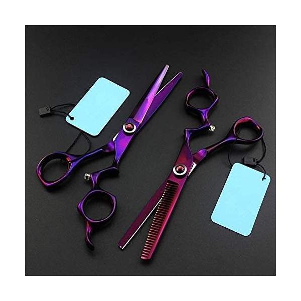 QZH Ciseaux de Coiffure Professionnels en Pierres précieuses Violettes de 6 Pouces, Ciseaux de Coiffure et Ciseaux de Coiffur