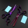 QZH Ciseaux de Coiffure Professionnels en Pierres précieuses Violettes de 6 Pouces, Ciseaux de Coiffure et Ciseaux de Coiffur