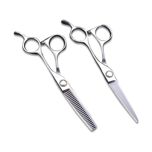 Ciseaux De Coiffeur Ciseaux De Coiffure Professionnels Argent 6 Pouces Ciseaux Feuille De Saule Simple Lame Simple Double Lam