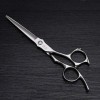 Outils de coupe des cheveux Cisaillement plat en acier inoxydable de coiffeur professionnel de coiffure de 6 pouces pour femm