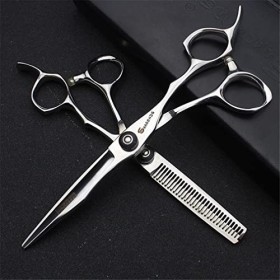 KOAIEZ Ciseaux De Coupe De Cheveux Professionnels De 6,0 Pouces Argent , Cisaillements De Coiffure Multifonctionnels 440C en