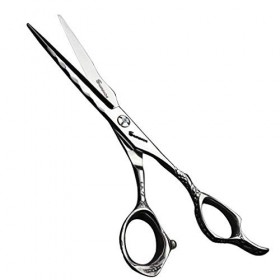 6,0 Pouces Salon De Coiffure Coiffure Ciseaux Set, 440C Salon De Coiffure en Acier Inoxydable Ciseaux Outil, Coupe De Cheveux