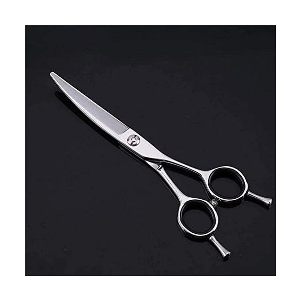 Ciseaux de coiffeur Ciseaux de coiffure professionnels Ciseaux amincissants Ciseaux de coupe de cheveux de 6 pouces Diamant b